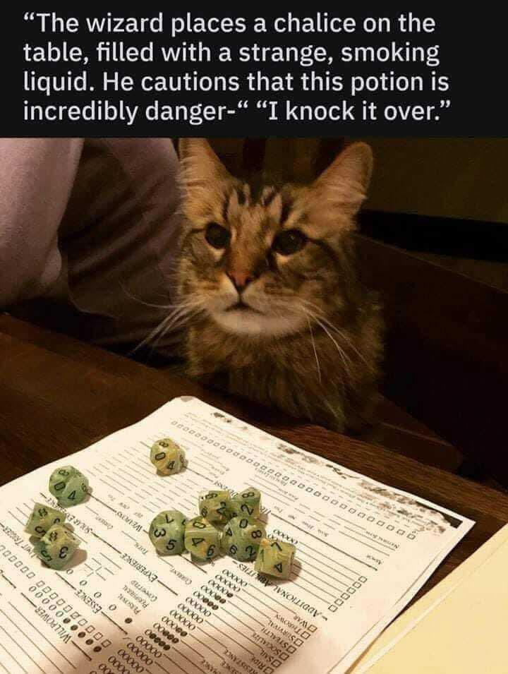 Cats Knock Over Dice